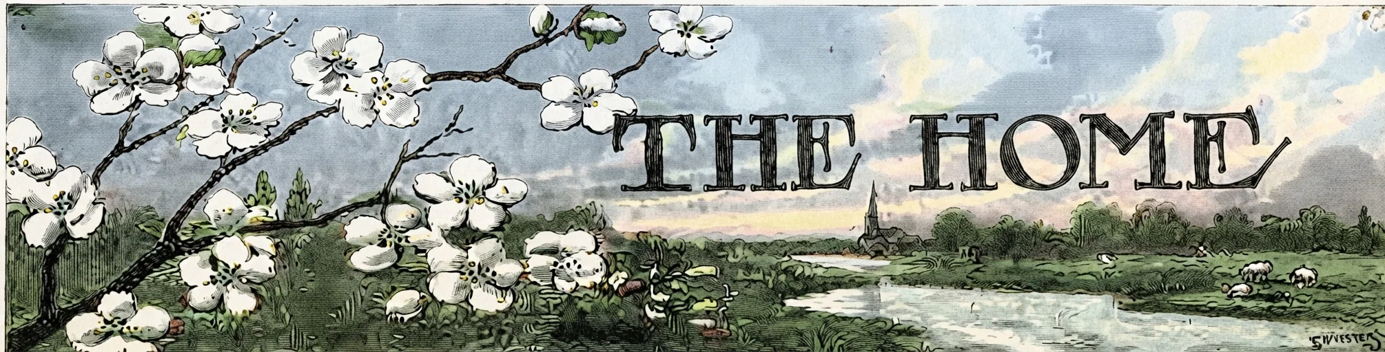 THE HOME